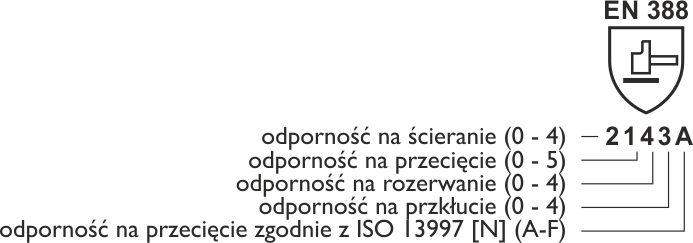 3_pl.png