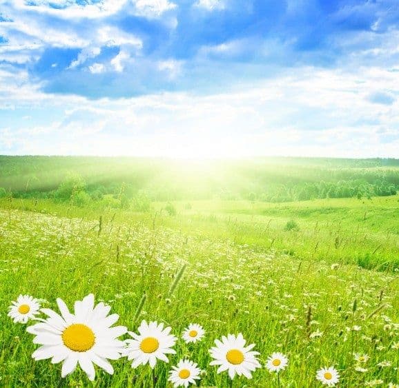 Przerwa świąteczna w JS GLOVES